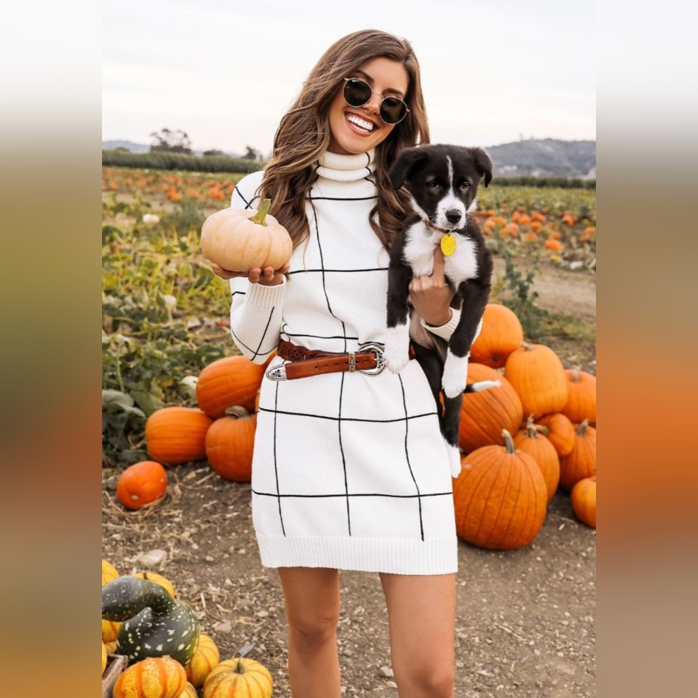 Chicwish Sweater Dress